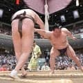 美ノ海、強い気持ちで２連勝「張り手が来たら引いてはダメ。体が小さいので、逆に出て行く」