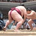幕内・翔猿が連勝発進　「攻められている。動きはいい」