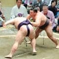 大関復帰の霧島が連勝発進　幕内後半戦・審判長の元大関・千代大海「横綱不在の中『俺が主役』と思っていい」