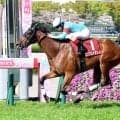 【ヴィクトリアＭ・超ブル診断ステップレース編】ハイレベルな阪神牝馬Ｓを逃げ切りで制したＧ１馬が「Ｇ」