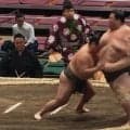 「※AIではありません」力士の怪力でも“動かない”252キロの壁にファン騒然 「絶対無理」「叫び声がすごい」115キロ差対決で力士苦悶