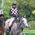 【ヴィクトリアＭ】前哨戦の大敗から巻き返しを誓うカピリナ　田島調教師「ノリさんらしく一発やってもらえたら」
