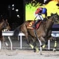 【エンプレス杯】連覇かかるテンカジョウ6枠6番