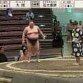 「これはガチで作ったやつ」力士の手製応援うちわにファンほっこり「笑顔弾けてるw」力士の写真にも反響