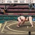 どうしてそうなった？ “あんこ型”力士が偶然同じポーズ どこか不思議なシンクロ珍光景にファンほっこり