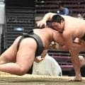 大相撲　元小結垣添の長男が前相撲で白星デビュー「足が震えてフワフワしている」父は土俵下で審判「緊張した」