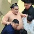 夏場所休場の横綱・豊昇龍、６月のパリ公演は参加へ　師匠の立浪親方が明かす「（負傷の右太もも裏は）軽度の肉離れ」