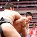 長男・垣添のデビュー戦を審判で見守った雷親方「自分が取った方が楽ですね」