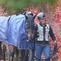 【注目馬動向】ミステリーウェイが宝塚記念を検討　天皇賞・春で逃げて８着　メイショウタバルとの先行争いに注目