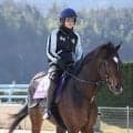【注目馬動向】佐々木厩舎から松永幹厩舎に転厩したラムジェットはマーキュリーＣを視野　フェブラリーＳで８着