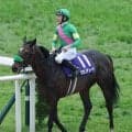 【注目馬動向】タガノデュードは宝塚記念へ　２８年ぶりサマーグランプリ参戦の宮厩舎はシェイクユアハートと２頭出し