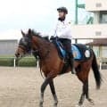 【注目馬動向】日経賞２着のミクニインスパイアは宝塚記念でＧ１初挑戦へ　鞍上は引き続き丹内祐次騎手