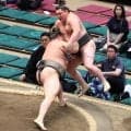 「史上最強の弟子」旭富士、序ノ口デビューから16連勝　敗れた大和湖「気づいたら土俵の外」