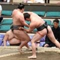 イケメンで話題…幕下大森「ギラギラ」デビュー２連勝　秋葉原で“お姉さん”からかけられた一言