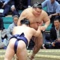 高安が初黒星　平戸海に敗れる…負傷か、右足をひきずる様子も