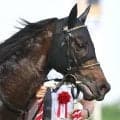 【注目馬動向】京王杯ＳＣを勝ったワールズエンドは安田記念が目標