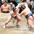 41歳玉鷲、初日から３連敗　両足には珍しいテーピング「相当悪いと思う」元遠藤の北陣親方