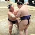 若隆景が３連勝…右肘痛こらえ、義ノ富士に勝利