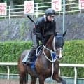 【注目馬動向】ウエストナウはサマー２０００シリーズ挑戦に意欲　小倉記念から新潟記念のローテを予定