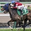 【ヴィクトリアM】「1勝馬の賞金王」ボンドガール 藤田晋オーナーに初のJRA・GIタイトルを届けるか