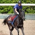 【ヴィクトリアマイル】アイサンサンがＧ１の舞台でさんさんと輝く　橋田調教師「勝負根性があります」