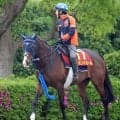 【ヴィクトリアＭ・トク捜リレー】差しが決まりやすい今の東京マイル　重賞２着７回の５歳牝馬に三戸記者が注目