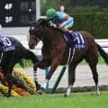 【ヴィクトリアM予想オッズ】エンブロイダリーが予想1番人気