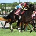 【ヴィクトリアM】牝馬の最高馬体重GI制覇記録更新なるか 昨年2着のクイーンズウォークが今年こそ