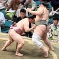 炎鵬が初日から３連勝　久しぶりの１５日間へ、疲労回復のために睡眠を意識「早いときは夜１０時に寝ている」