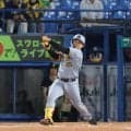 阪神　嶋村がプロ初本塁打　育成出身２年目が７打席目で　１５２キロを逆方向弾に球場騒然→掛布氏「ストレートに振り負けていない。強く振れるのは武器」