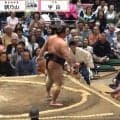 「力士並みに強そう」「腕太っ」大相撲、人気力士とニアミスした“ただならぬ”ガタイのプロレスラーに反響「通路付近にゴツいの映って…」