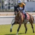 【新潟大賞典予想オッズ】ドゥラドーレスが予想1番人気