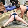 十両２場所目の寿之富士が無傷の３連勝　体重は先場所から６キロ増「この体に早く慣れるようにしたい」