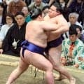 自己最高位の幕内・藤青雲が２勝目　審判交代をはさむ幕内後半戦始めの１、２番の準備の難しさを明かす