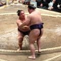 若隆景、一気の攻めで義ノ富士下し３連勝「しっかり踏み込めた」右腕負傷の不安感じさせず