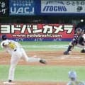 【阪神】伏見寅威、守って打って勝って、36歳誕生日祝う「最後にヒット出て良かったです」