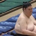 「足が細すぎるよ」「お尻が小さい」185センチ巨漢力士、“ほっそり”美脚にファン注目
