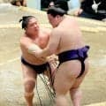 不屈の若隆景、２４年九州場所以来の初日から３連勝　義ノ富士を寄り切る「下からいく意識だった」横綱不在の夏場所盛り上げる