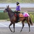 【ヴィクトリアＭ】兄はＧ１・３勝エフフォーリア　ジョスランＧ１初勝利へ鹿戸調教師「東京は合っている」