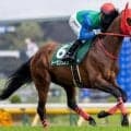 ディープ産駒が17年連続のJRA重賞制覇なるか トーセンリョウが新潟大賞典で初タイトル狙う