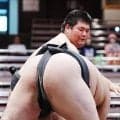 「鉄のような体になれ」と命名された鉄富士が前相撲初勝利