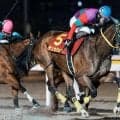 【川崎・エンプレス杯注目馬】春のダート牝馬頂上決戦 テンカジョウの連覇か、新たな主役の誕生か