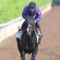 【ヴィクトリアＭ】カムニャックは坂路で軽快　友道調教師は東京替わりで前走首差のライバルと「もう少し差は縮まる」