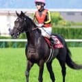 【注目馬動向】ベレシートは引き続き北村友一騎手と日本ダービーへ　“クロワデュノールコンビ”で２年連続の世代頂点を目指す