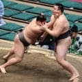 幕下最下位格付け出し火雷が連敗で初白星ならず　目を赤く「負けたくなかった…」相手は元同級生