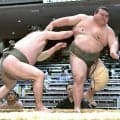 東海大柔道部出身の岡田　自身初の連敗スタート　元十両の変化に屈し「いい勉強です」