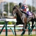 【日本ダービー想定】ロブチェン、ゴーイントゥスカイなど18頭