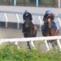 アランカール、オークス1週前追い切り速報/栗東トレセンニュース