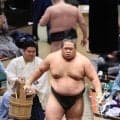 元十両の生田目が今場所初白星　幕下上位５番で緊張も師匠の言葉で前向きに