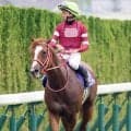 【注目馬動向】シンエンペラーは宝塚記念に参戦　英プリンスオブウェールズＳは見送りへ　矢作調教師「適距離だと思う」